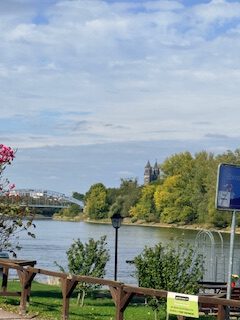 Blick vom Mückenwirt auf Elbe